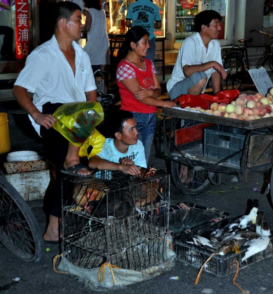 When you need fresh poultry in Shanghai, this is where you go. 