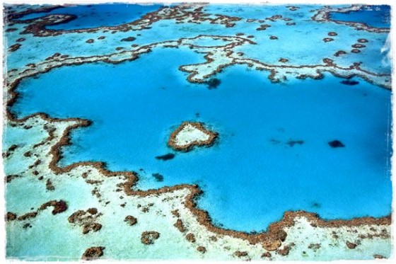 Great Barrier Reef, Cairns (Australia)
